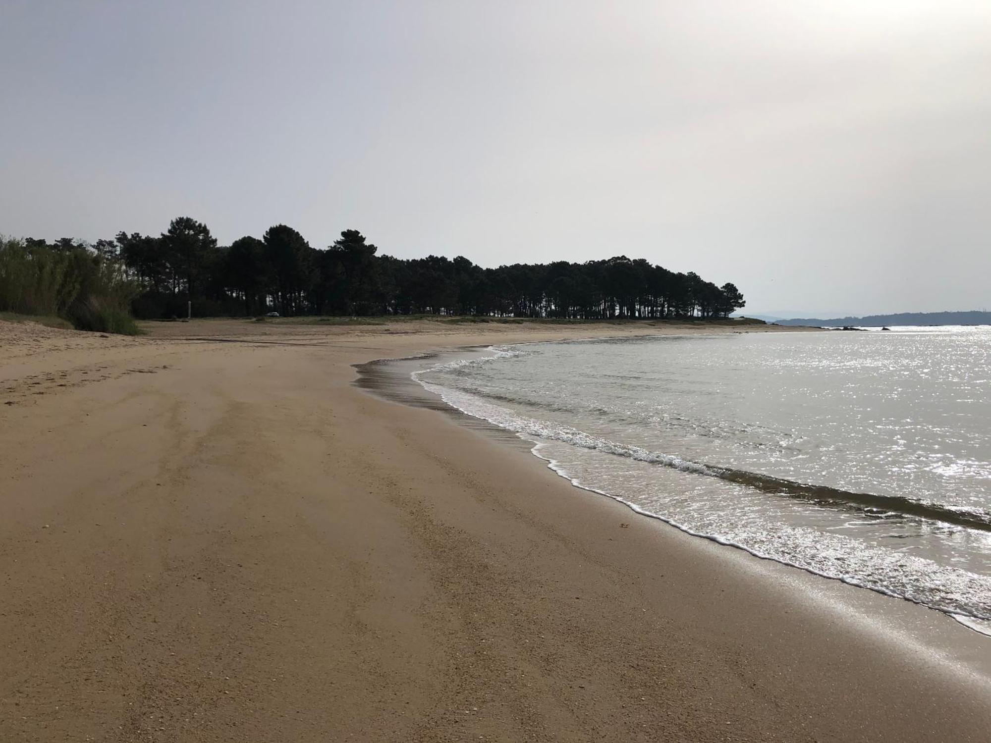 Apartamento Playa Da Corna Palmeira Esterno foto